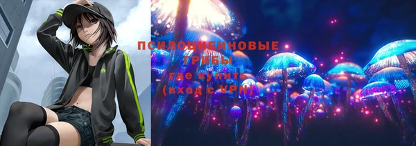 дживик Алзамай