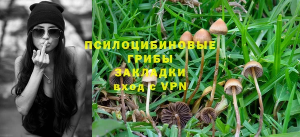 гидропоника Алексин