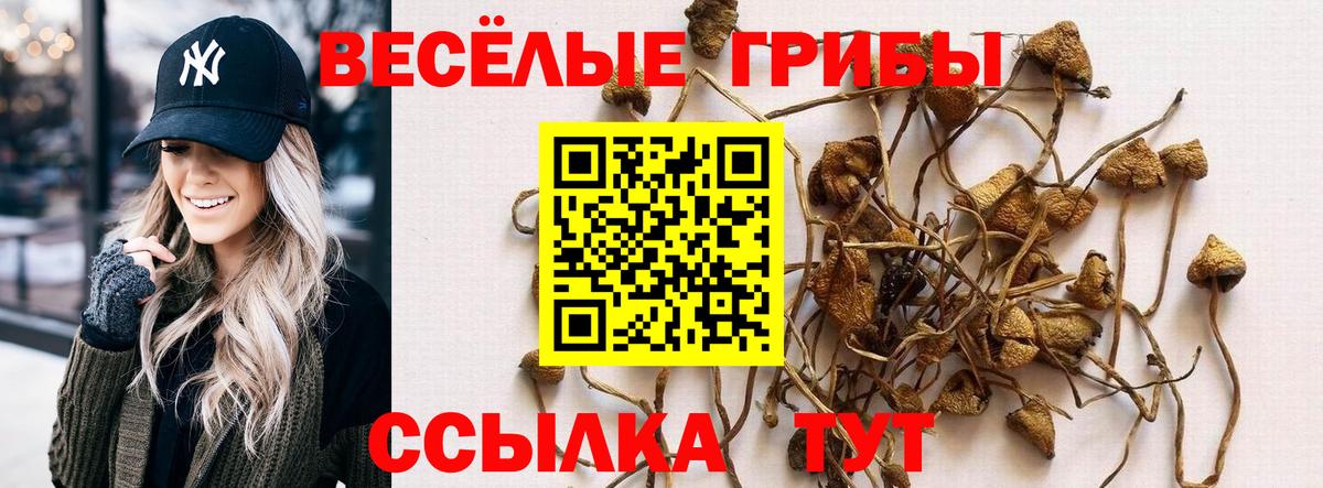 Псилоцибиновые грибы Magic Shrooms Новочеркасск