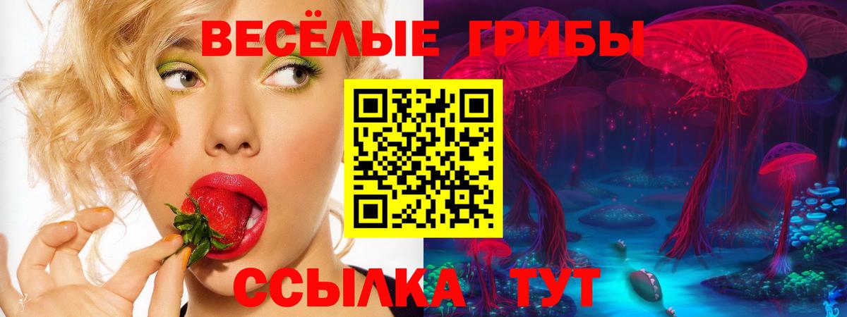 Галлюциногенные грибы ЛСД  Вход с VPN  Новочеркасск 