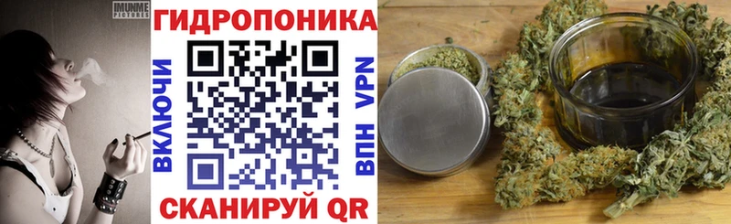 купить наркоту  Новочеркасск  МАРИХУАНА гибрид 